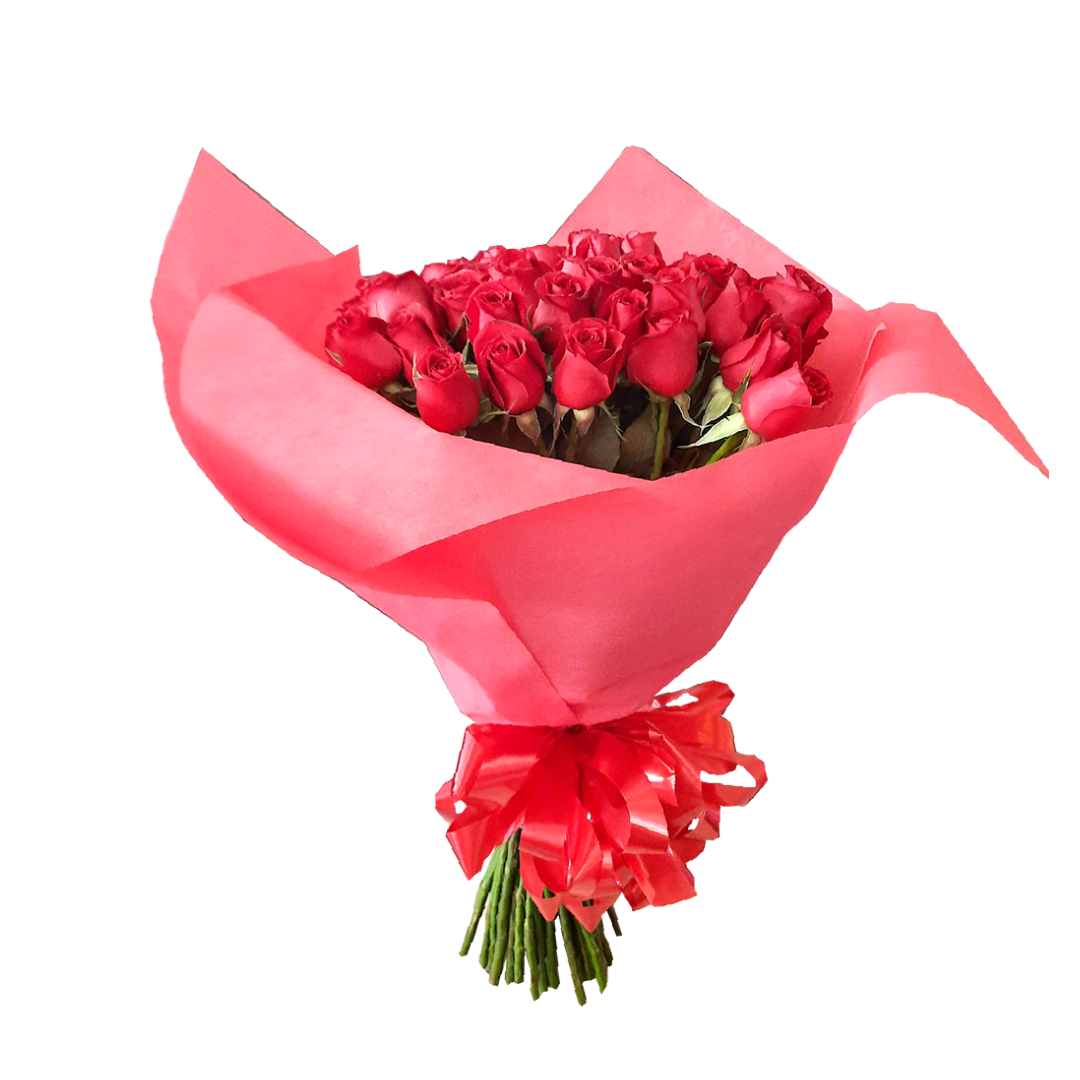 Rosas de Ensueño