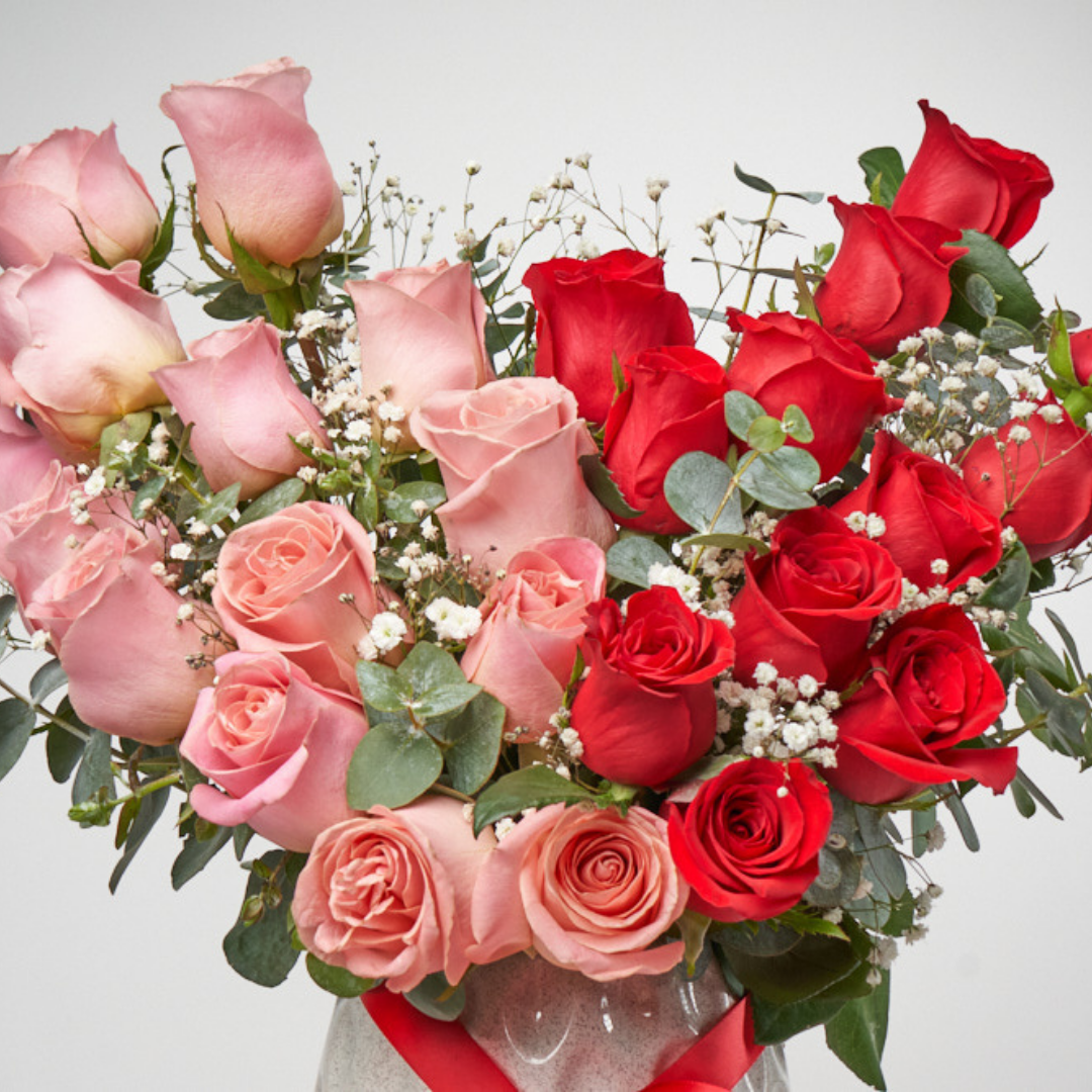 Romance Bicolor