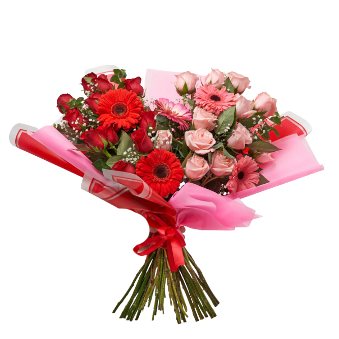 Rosas del Jardín