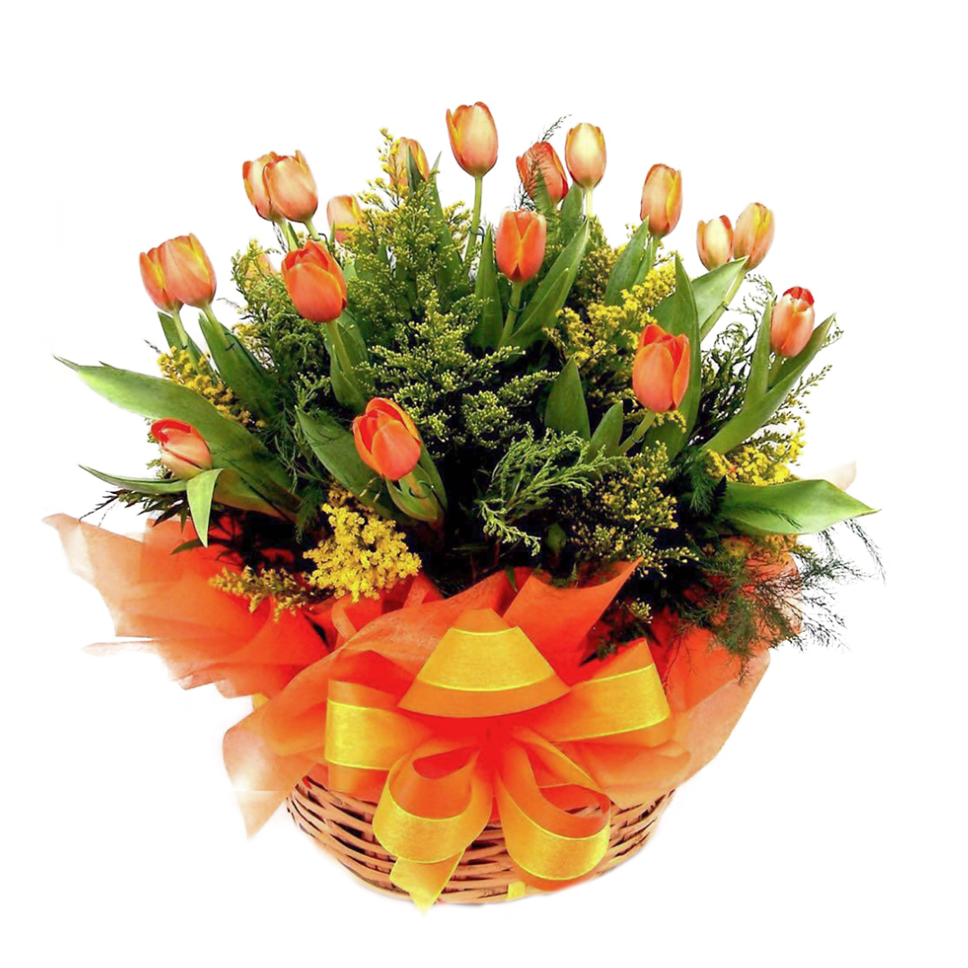 Canasta de Tulipanes