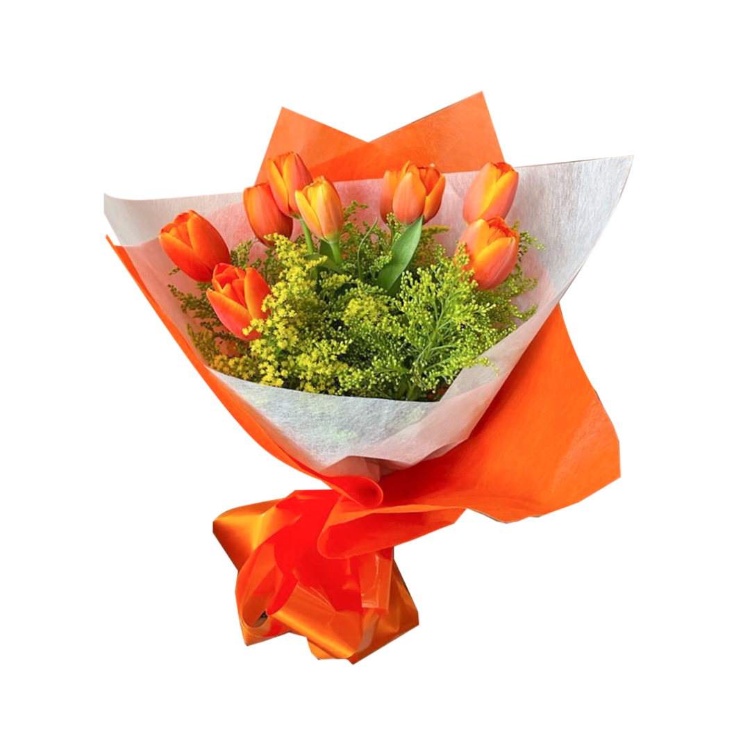 Primavera de Tulipanes