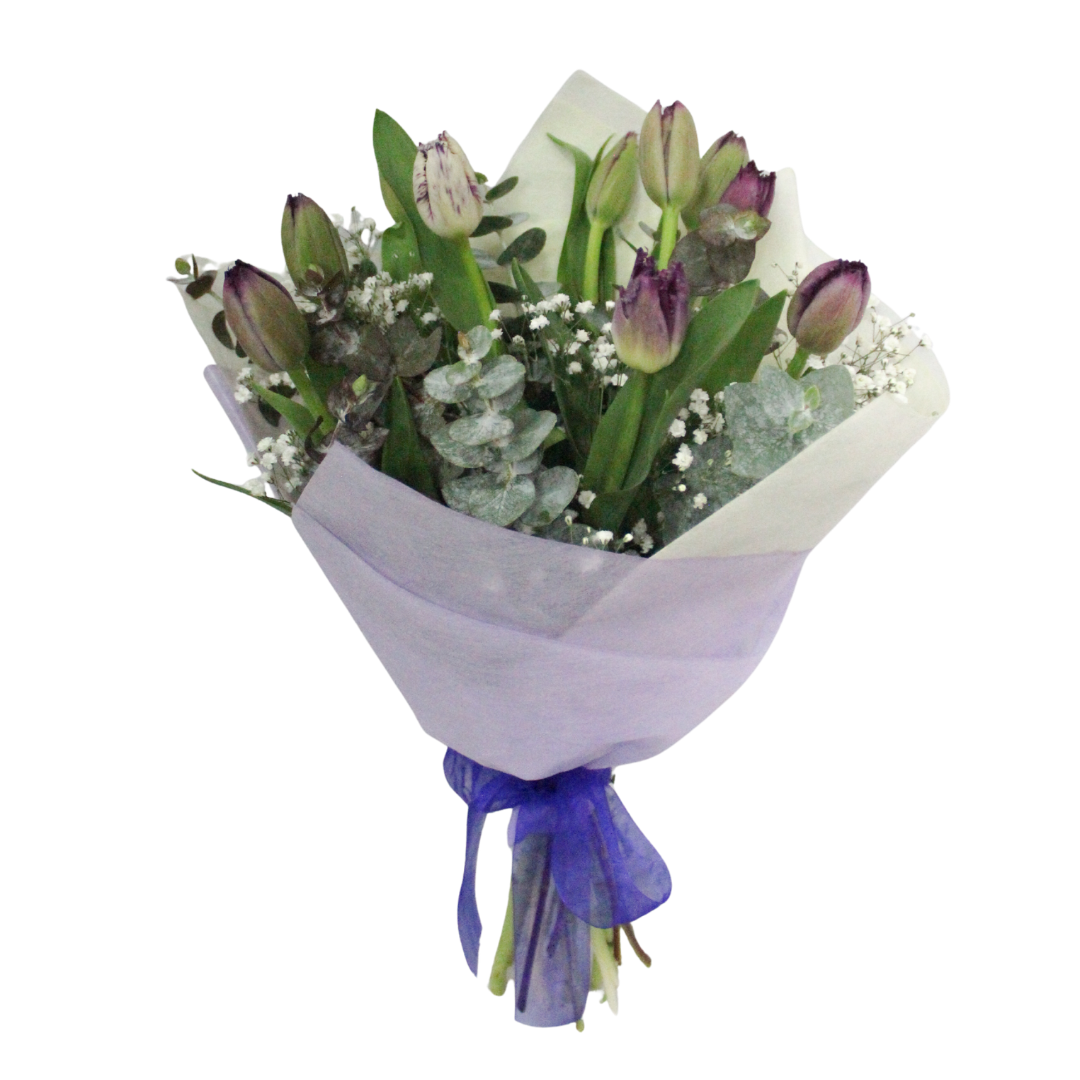 Primavera de Tulipanes