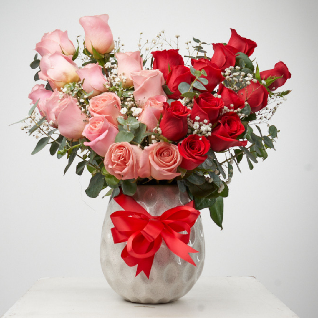 Romance Bicolor