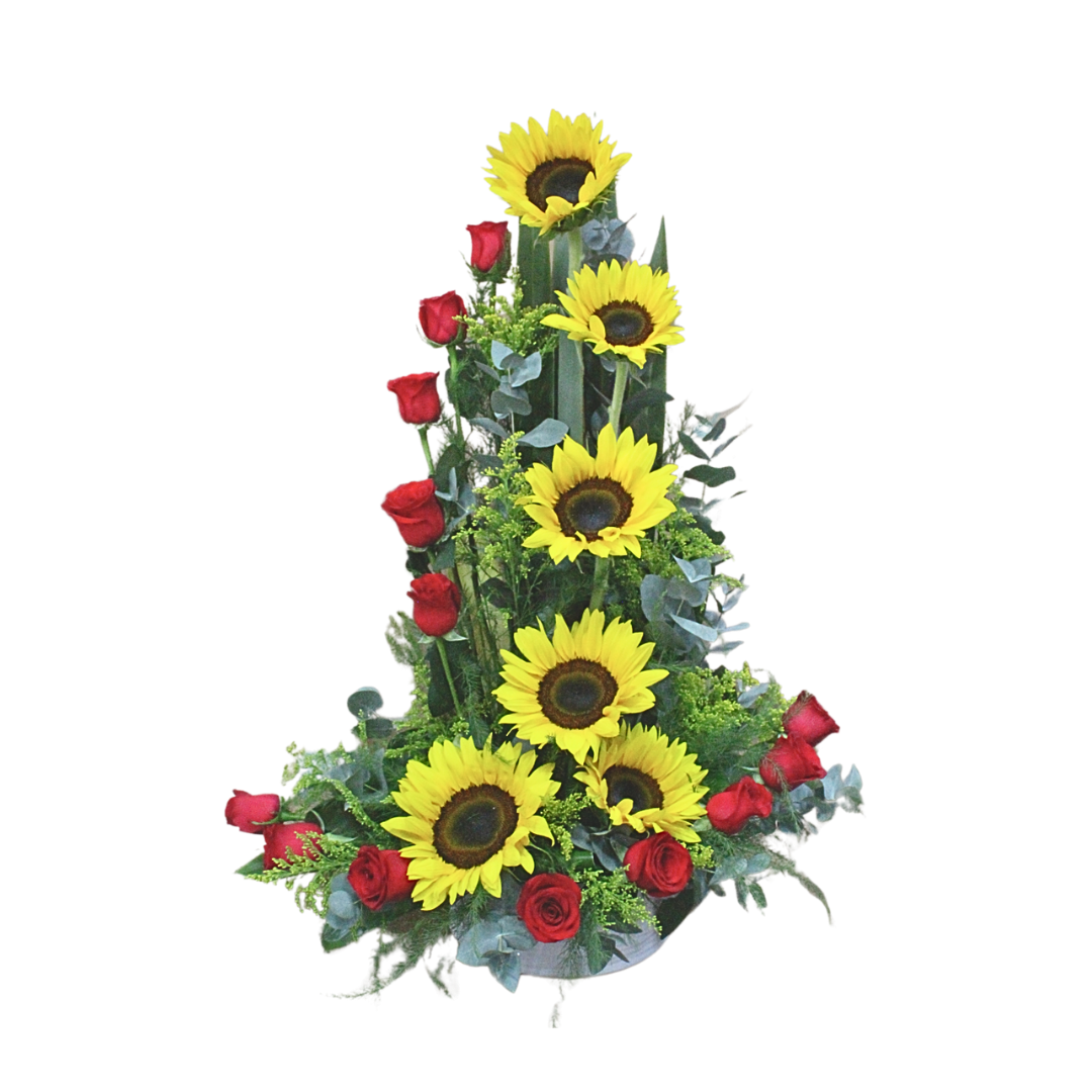 Sol y Rosas