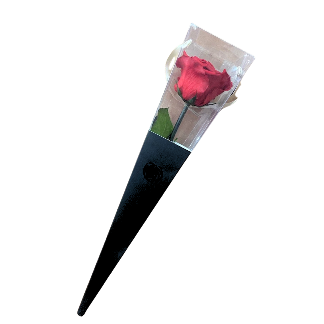 Rosa Eterna