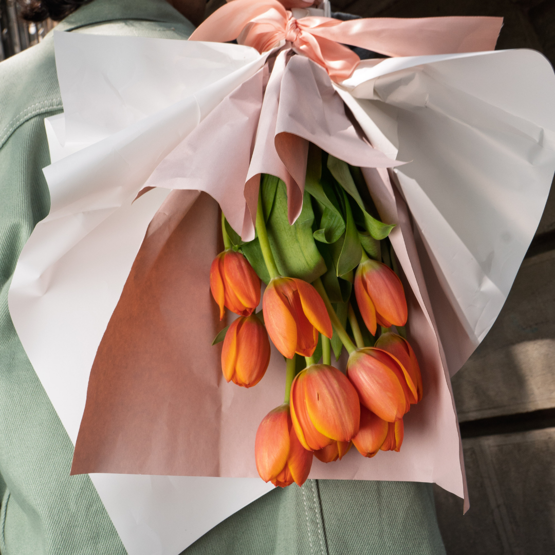 Primavera de Tulipanes
